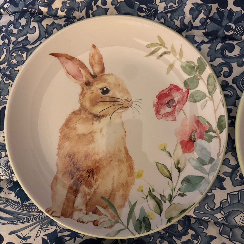 4 pc Rabbit Bunny Easter Four 9 inch luncheon
NEW Salad or dessert plates